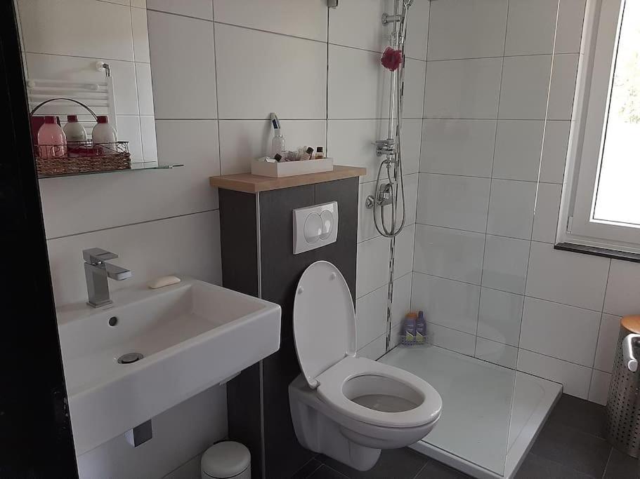 Vrijstaande Recreatievilla Met Ruime Omheinde Tuin Posterholt 외부 사진