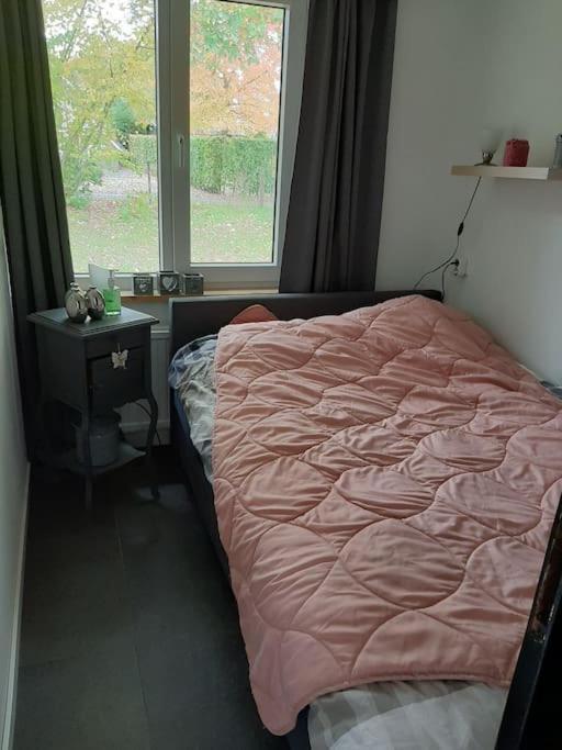 Vrijstaande Recreatievilla Met Ruime Omheinde Tuin Posterholt 외부 사진